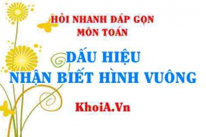 Dấu hiệu nhận biết hình vuông là gì? Hỏi nhanh đáp gọn môn Toán